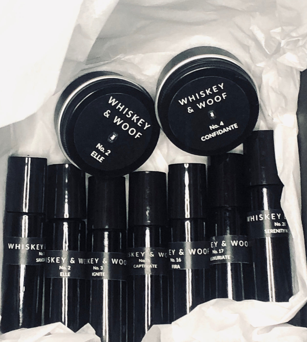4th of July Bundles & Freebies (What?!)