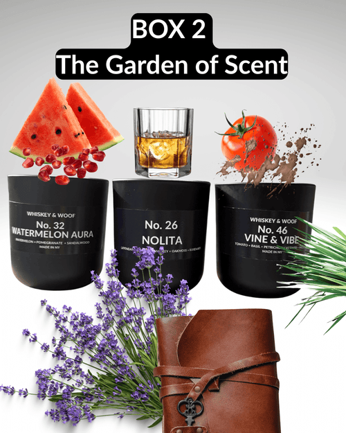 2 oz Votives Scented Candles Discovery Gift Box