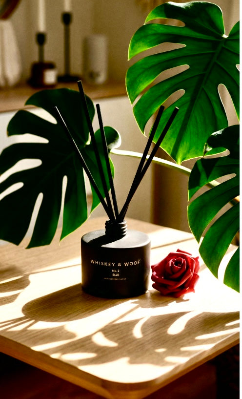 Reed Diffusers