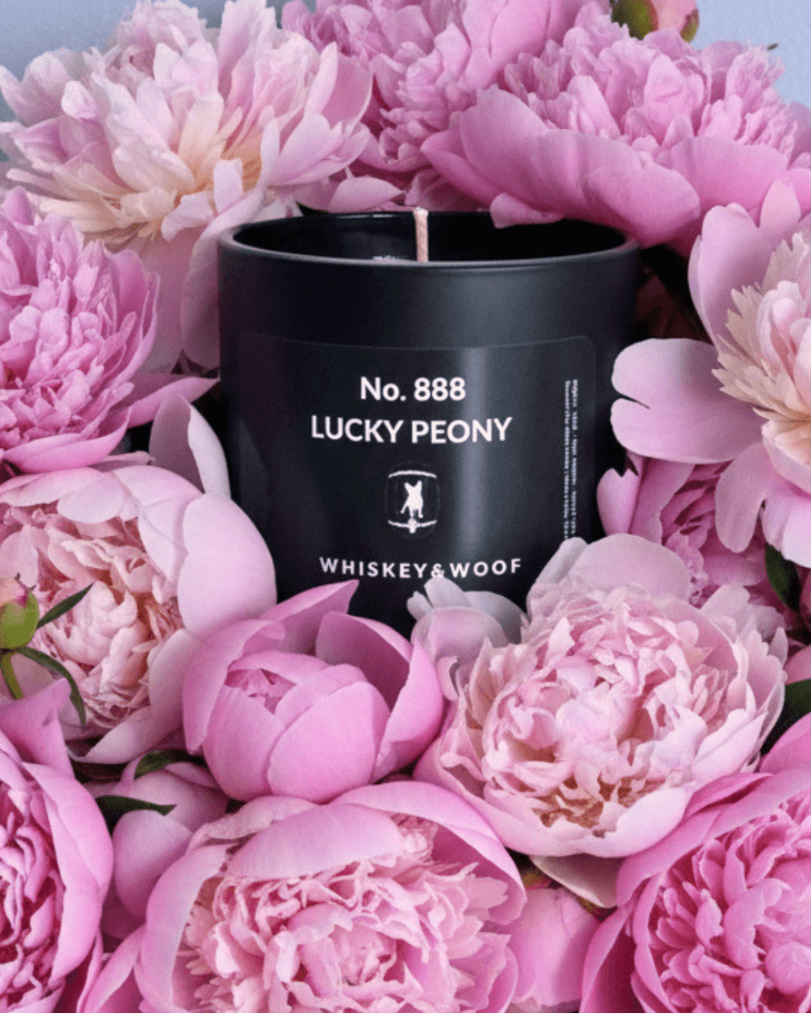 No. 888 Lucky Peony  | Peony, Yuzu & White Tea Luxury Scented Candle