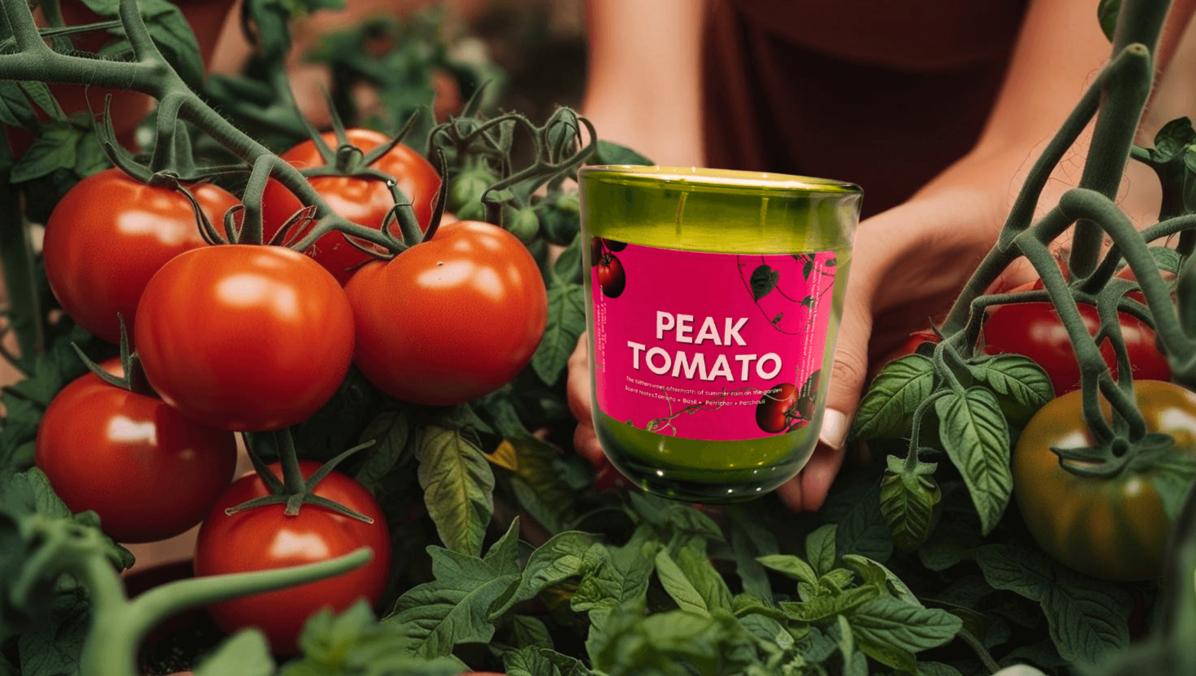 Peak Tomato Scented Candle