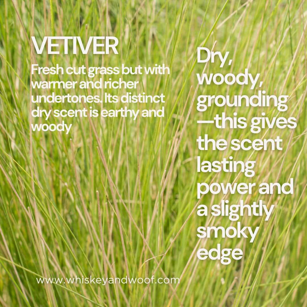 No. 46 Vine & Vibe | Tomato, Vetiver & Petrichor — Luxury Scented Candle