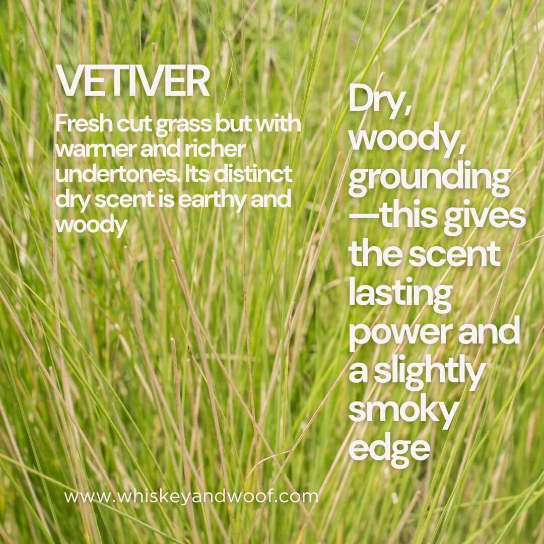 Peak Tomato Scented Candle