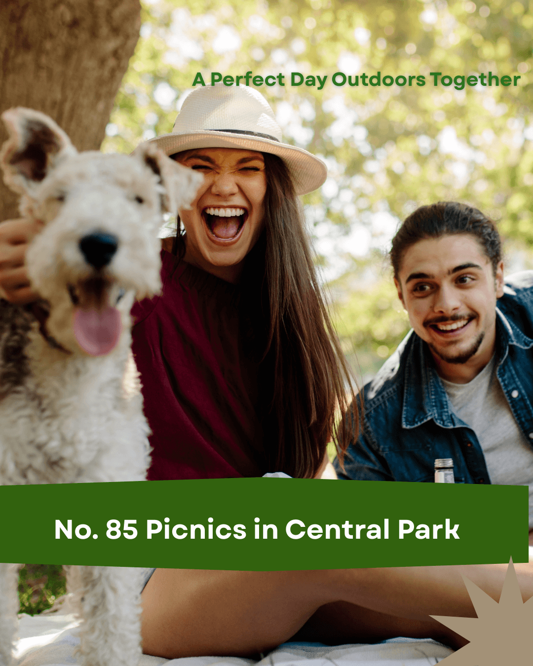 No. 85 Picnics in Central Park : Vetiver, Peach and Cedar