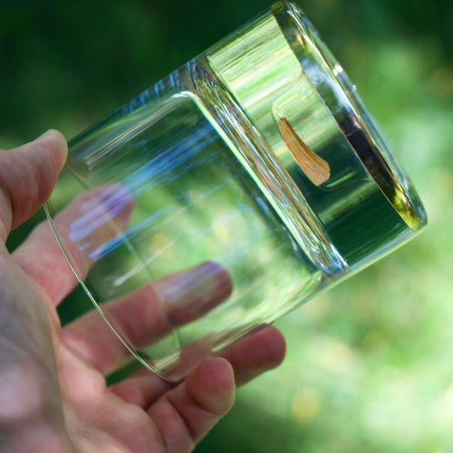 Dinosaur Tooth Tumbler (Series I) - Set of 2