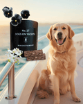 No. 27 Dogs on Yachts |Black Violet, Jasmine, Cedarwood & Musks