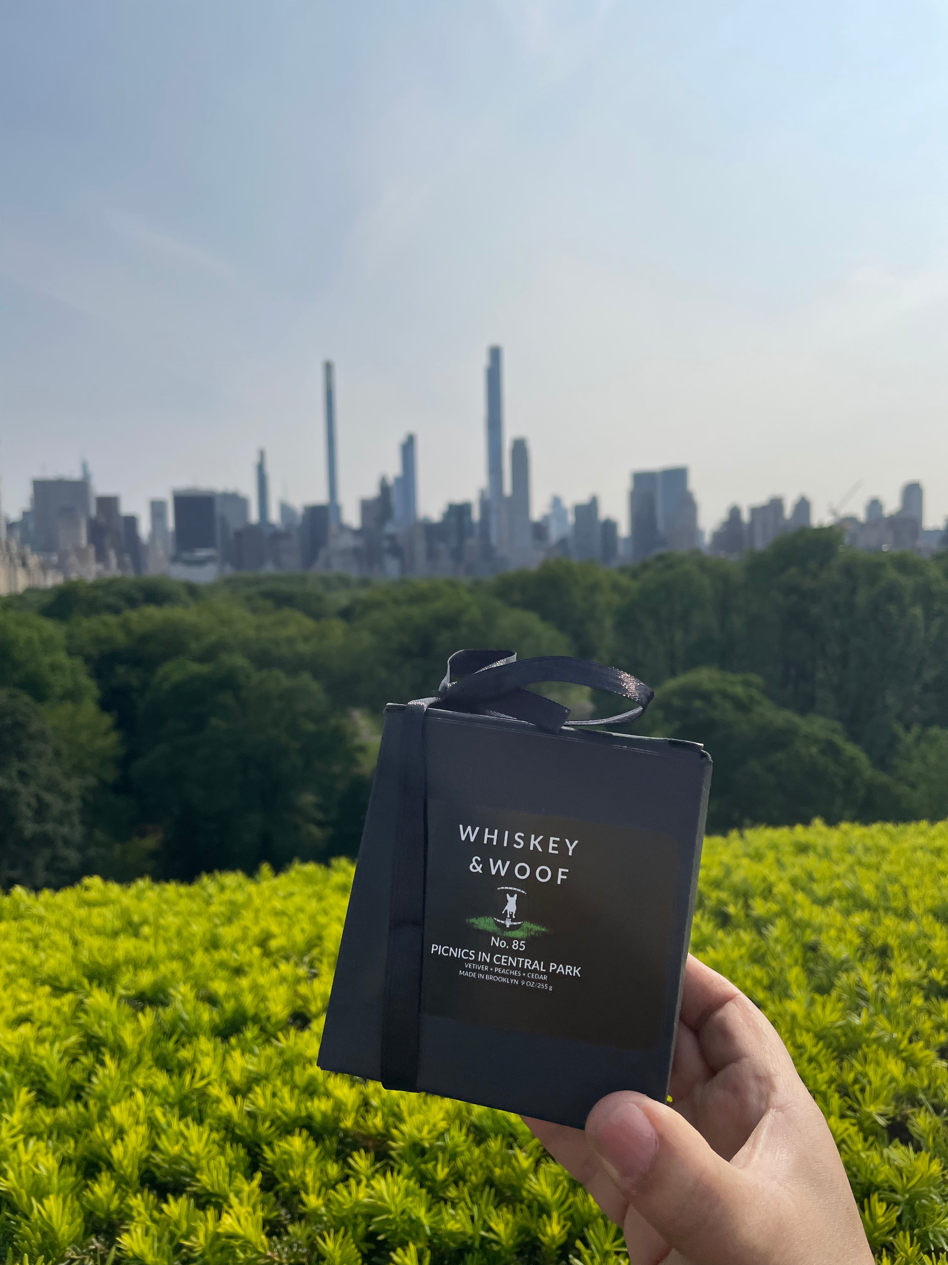 picnics in central park scented candle: vetiver, peach, peony and cedar